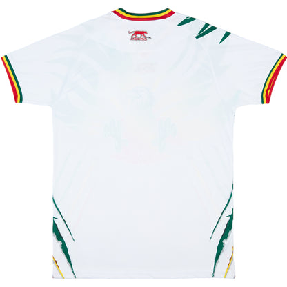 Maillot Mali Home 2024 M